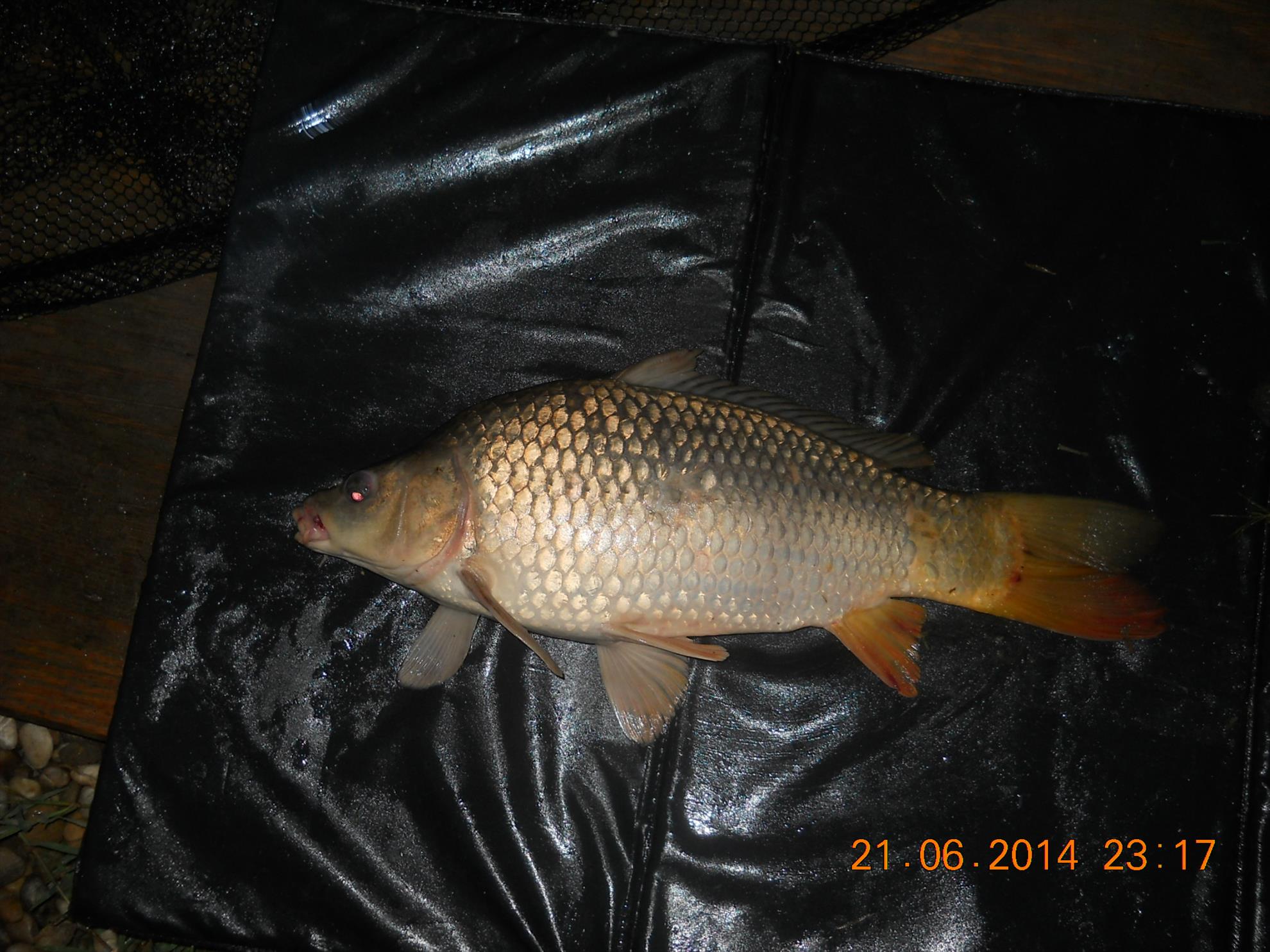 pescuit Magura 9 - dscn9561.jpg